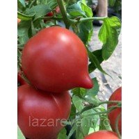 Насіння томату Фіфті F1 10 шт Насіння томату Фіфті F1 10 шт
