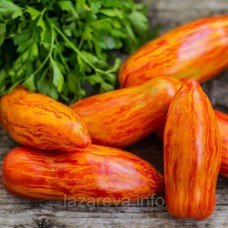 Насіння томату Гном Смугастий перець (Dwarf Pepper Striped) 10 шт