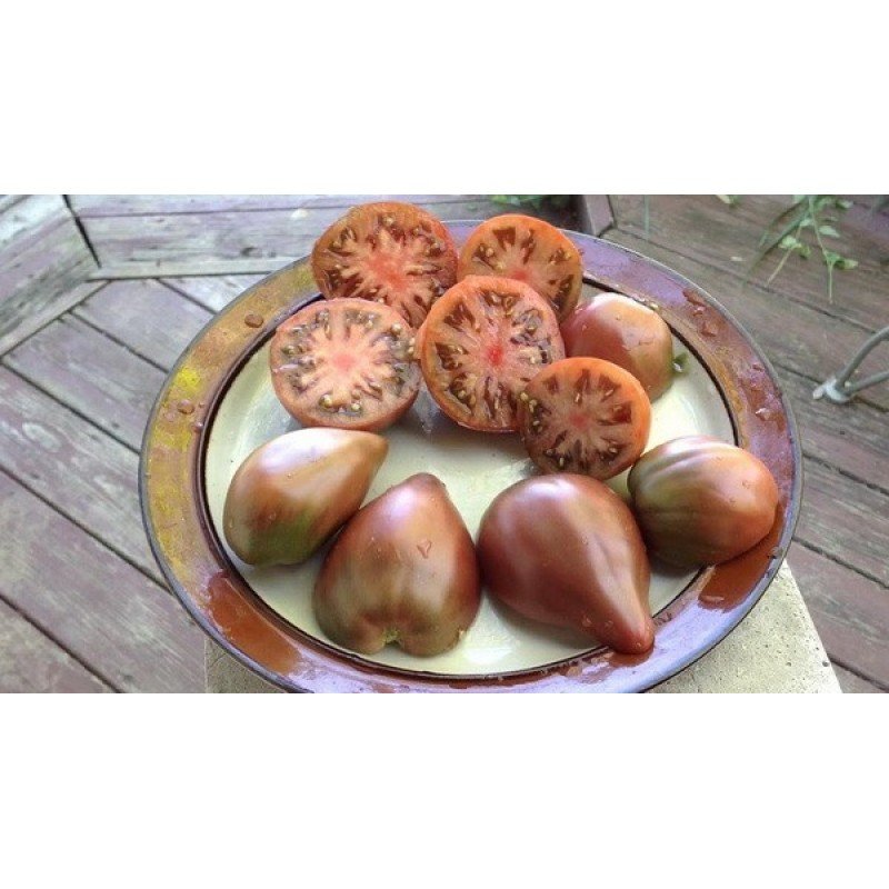 Гном фіолетове серце (Dwarf Purple Heart) 10 насінин