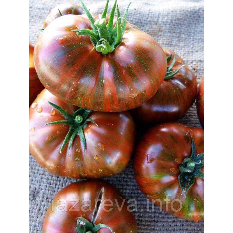 Насіння томату Полосатий Шоколад "Chocolate Stripes" 15 шт Насіння томату Полосатий Шоколад "Chocolate Stripes" 15 шт