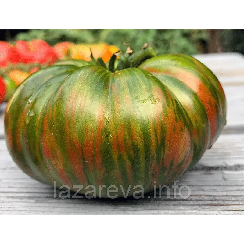 Насіння томату Полосатий Шоколад "Chocolate Stripes" 15 шт Насіння томату Полосатий Шоколад "Chocolate Stripes" 15 шт