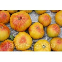 Семена томата Виллард Винн (Willard Wynn) 15 шт Семена томата Виллард Винн (Willard Wynn) 15 шт