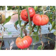 Насіння томату Точильний камінь (Whetstone Wonder) 15 шт