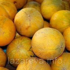 Насіння дині Душа 15 нас