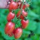 Насіння томату Сітка Рожева (Maglia Rosa) 15 нас Насіння томату Сітка Рожева (Maglia Rosa) 15 нас