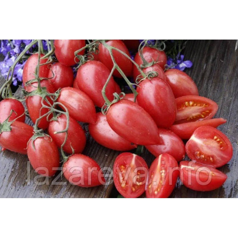 Насіння томату Сітка Рожева (Maglia Rosa) 15 нас Насіння томату Сітка Рожева (Maglia Rosa) 15 нас