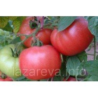 Семена томата Боярыня 30 шт