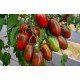 Насіння томату Чорний ворон F1 10 шт