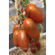 Насіння томату Чорний ворон F1 10 шт Насіння томату Чорний ворон F1 10 шт