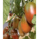 Насіння томату Чорний ворон F1 10 шт Насіння томату Чорний ворон F1 10 шт
