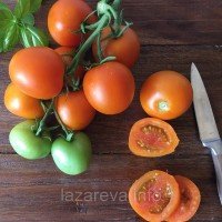 Семена томата Ростик золотой F1 10 шт