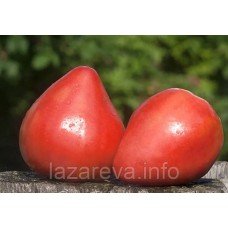 Насіння томату Дівочі груди 15 шт