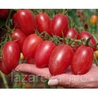 Семена томата Пикник F1 10 шт Семена томата Пикник F1 10 шт