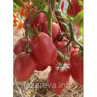 Семена томата Сулейман F1 10 шт Семена томата Сулейман F1 10 шт