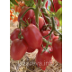 Насіння томату Сулейман F1 10 шт Насіння томату Сулейман F1 10 шт