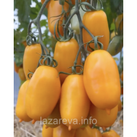 Семена томат Сиеста F1 5 шт