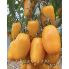 Насіння томату Сієста F1 5 шт