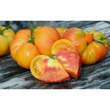 Насіння томату Гном Кайтідід 10 шт