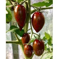 Насіння томату Шоколадні пальчики F1 5 шт