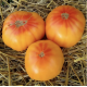 Семена томата Абрикосовый конфитюр 15 семян