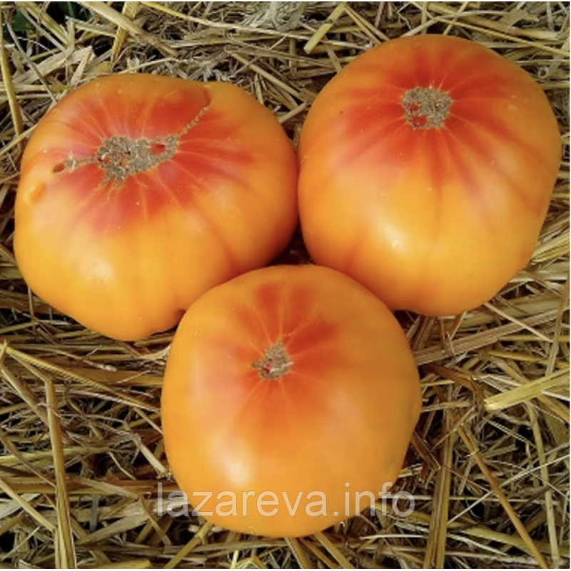 Абрикосовий конфітюр 5 нас Абрикосовий конфітюр 5 нас