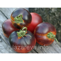 Насіння томату Бандоль Блюз (Bandol Blues) 10 шт Насіння томату Бандоль Блюз (Bandol Blues) 10 шт