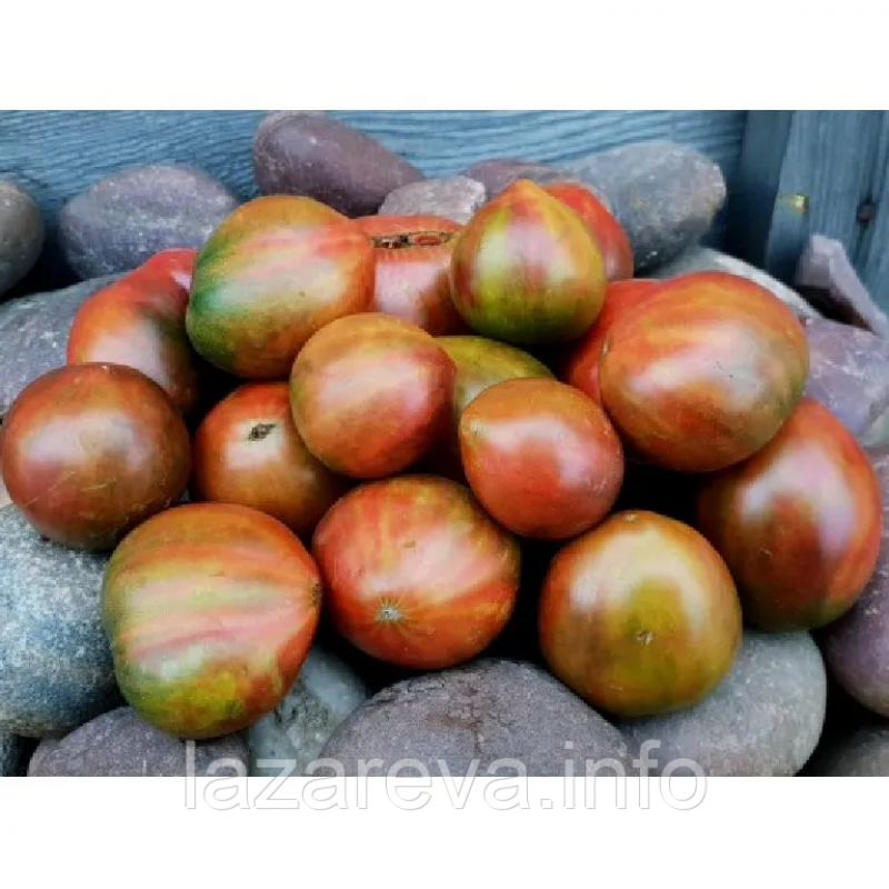 Насіння томату Гном Багряний закат (Dwarf Crimson Sunset) 10 шт Насіння томату Гном Багряний закат (Dwarf Crimson Sunset) 10 шт