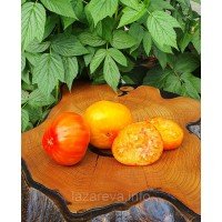 Семена томата Гном Зигзаг Удачи (Dwarf Lucky Swirl) 10 шт Семена томата Гном Зигзаг Удачи (Dwarf Lucky Swirl) 10 шт