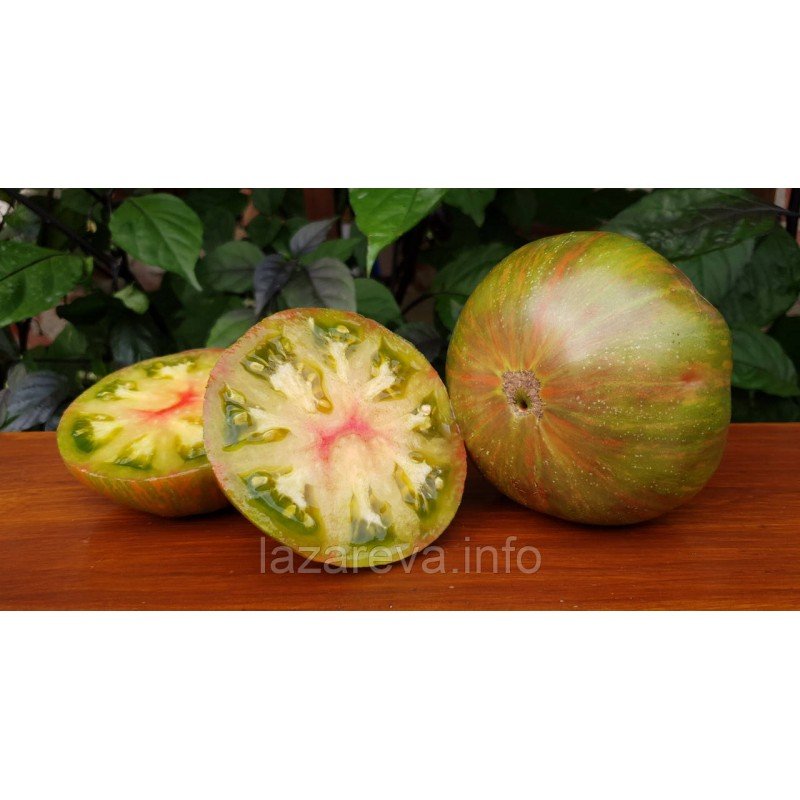 Насіння томату Гном М'ятні Смуги (Dwarf Peppermint Stripes) 10 шт Насіння томату Гном М'ятні Смуги (Dwarf Peppermint Stripes) 10 шт