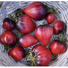 Насіння томату Сині Гори Сержанта Пеппера (Sgt. Pepper's Blue Hills) 10 шт