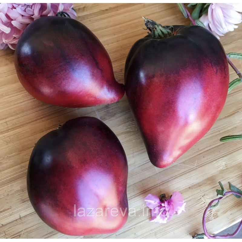 Насіння томату Сині Гори Сержанта Пеппера (Sgt. Pepper's Blue Hills) 10 шт Насіння томату Сині Гори Сержанта Пеппера (Sgt. Pepper's Blue Hills) 10 шт