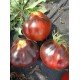 Насіння томата Темний Лорд  (Dark Lord) 15 шт