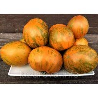 Семена томата Гном Сияние Вавилона (Babylon's Glow Dwarf) 10 сем