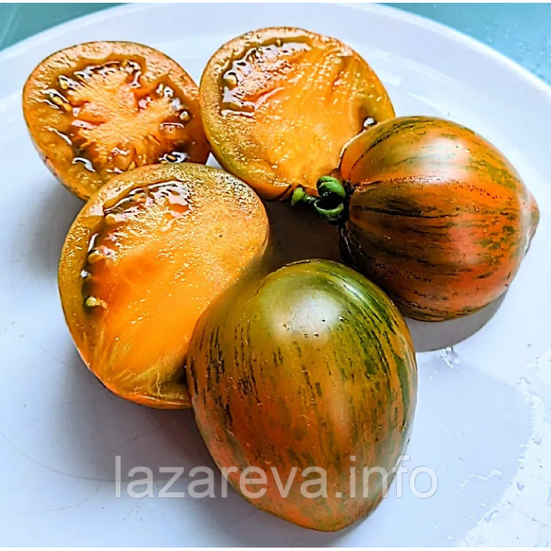 Насіння томату Гном Сяйво Вавилону (Babylon's Glow Dwarf) 10 нас Насіння томату Гном Сяйво Вавилону (Babylon's Glow Dwarf) 10 нас