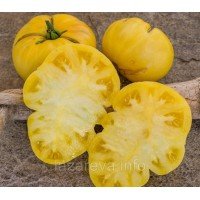 Семена томата Гном Фантазия Уолтера (Dwarf Walter's Fancy) 10 сем Семена томата Гном Фантазия Уолтера (Dwarf Walter's Fancy) 10 сем