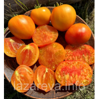 Насіння томату Гном Частування Глорії (Dwarf Gloria's Treat) 10 нас