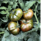 Насіння томату Гном Шоколадна Блискавка (Dwarf Chocolate Lightning) 10 нас Насіння томату Гном Шоколадна Блискавка (Dwarf Chocolate Lightning) 10 нас