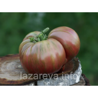 Семена томата Гном Фестиваль Аделаиды (Dwarf Adelaide Festival)  10 сем