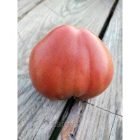 Семена томата Гном Сердце Бадди (Dwarf Buddy’s Heart) 10 сем Семена томата Гном Сердце Бадди (Dwarf Buddy’s Heart) 10 сем