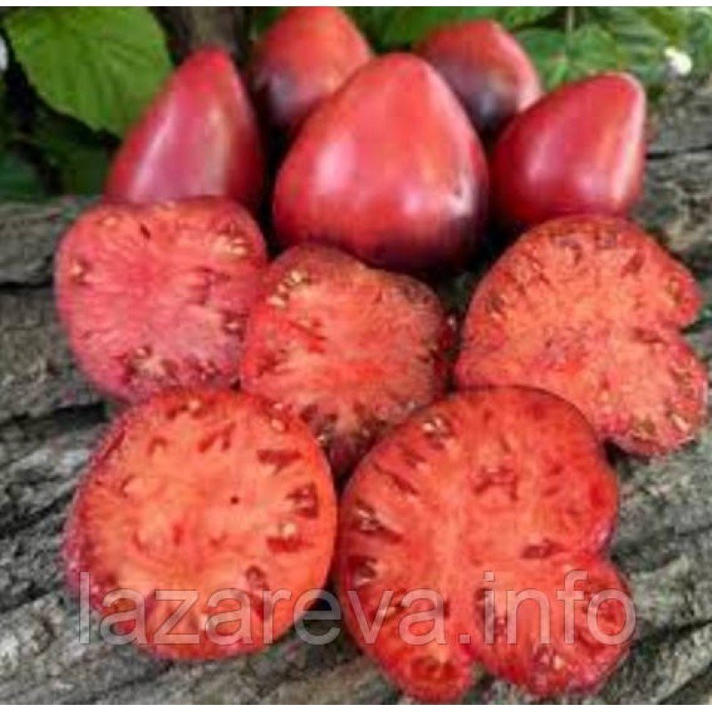 Насіння томату KAS-21 (KAS-21) 15 шт Насіння томату KAS-21 (KAS-21) 15 шт