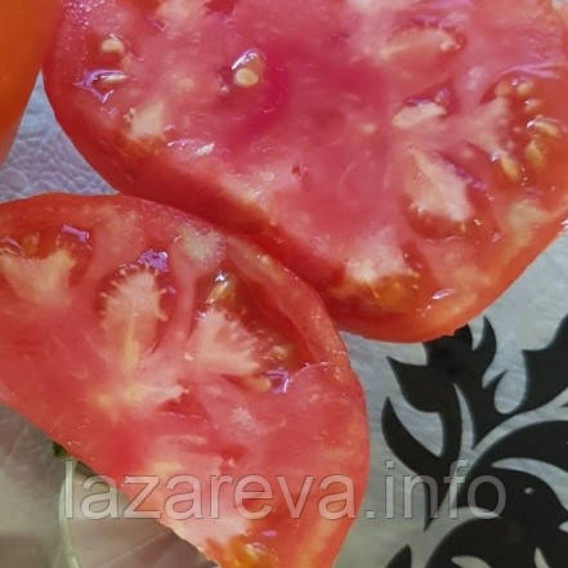 Насіння томата Виставковий 15 шт Насіння томата Виставковий 15 шт