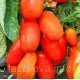 Насіння томату Гуллівер Помаранчевий (Gulliver Orange) 15 шт Насіння томату Гуллівер Помаранчевий (Gulliver Orange) 15 шт