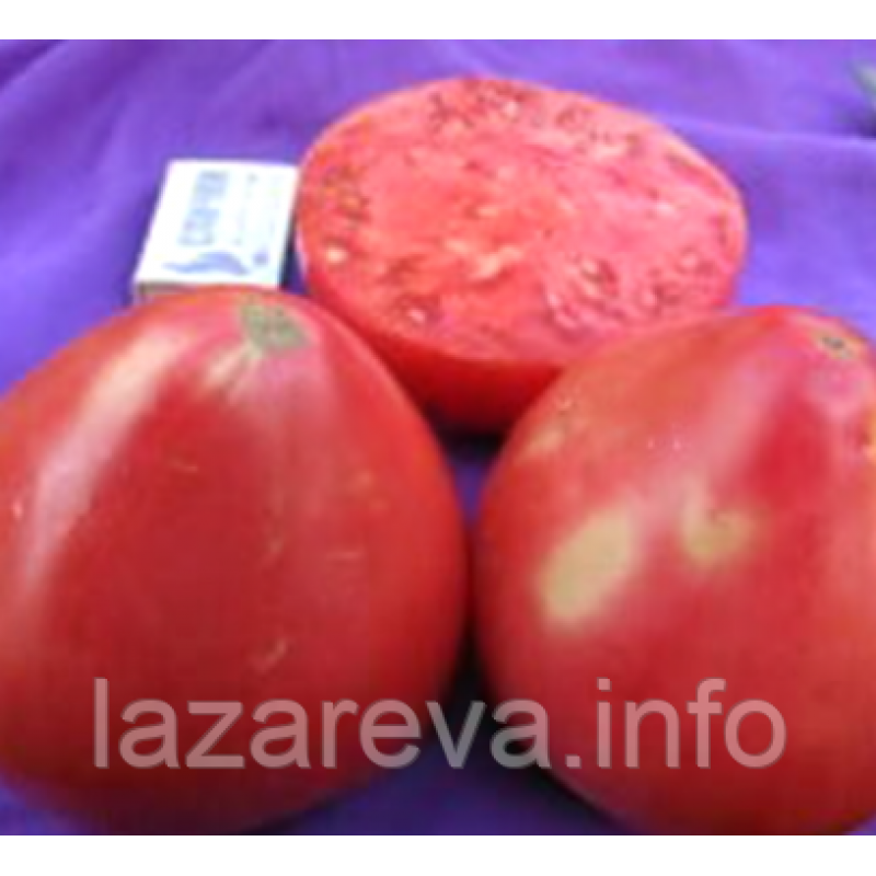 Семена томата Отец Горио (Father Goriot) 15 шт