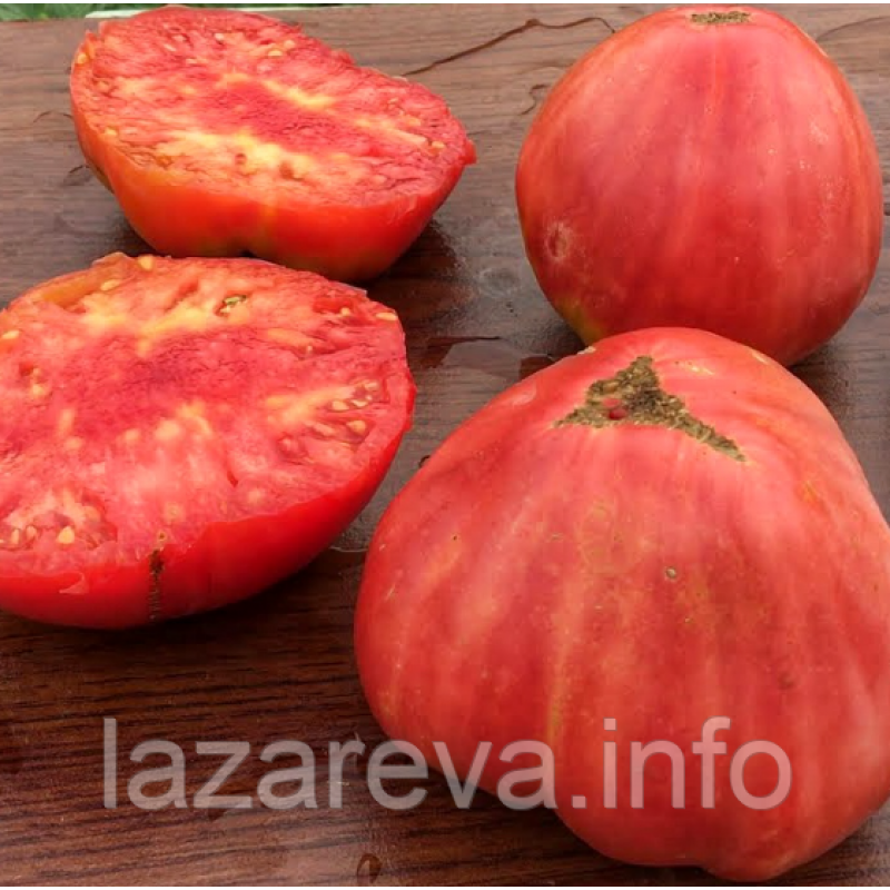 Сахарна голова (Sugar head) 15 шт Сахарна голова (Sugar head) 15 шт