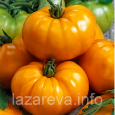 Насіння томату Техас (Texas) 15 шт