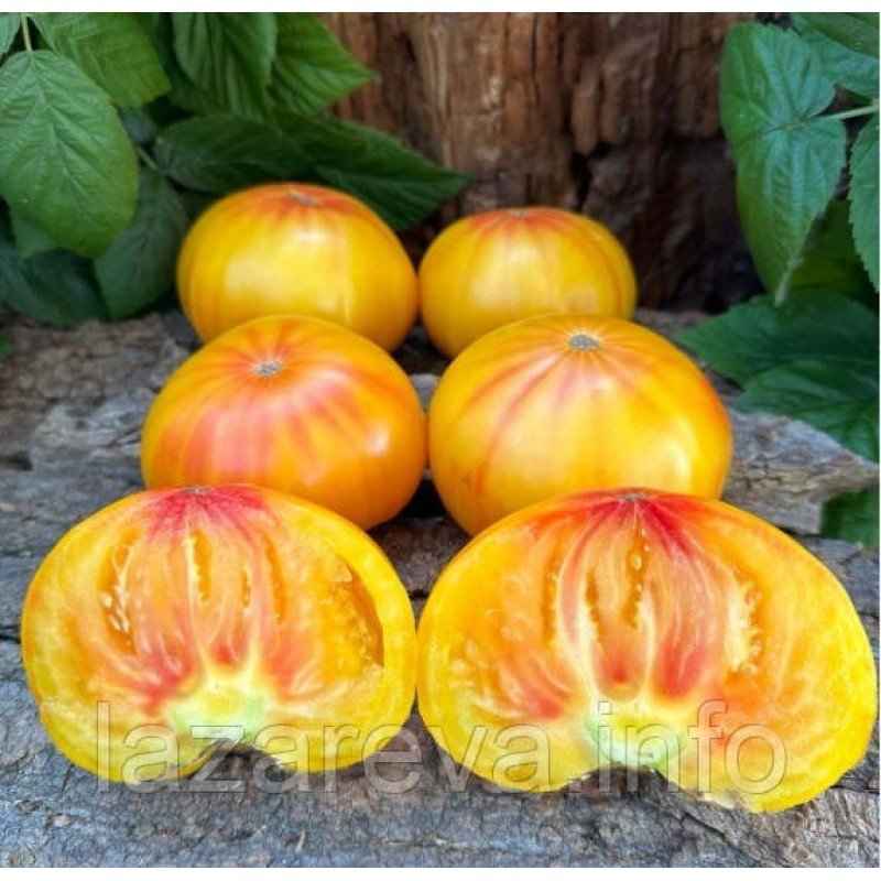 Насіння томату Техас (Texas) 15 шт Насіння томату Техас (Texas) 15 шт