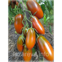 Семена томата Чёрная сосулька (Black Icicle) 15 шт Семена томата Чёрная сосулька (Black Icicle) 15 шт