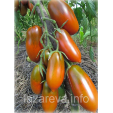 Насіння томату Чорна сосулька (Black Icicle) 15 шт