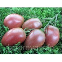 Насіння томату Чорний імператор (Black Emperor) 15 шт Насіння томату Чорний імператор (Black Emperor) 15 шт