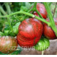 Насіння томату Гном Фредс тай Дай (Dwarf Fred's Tie Dye) 10 шт Насіння томату Гном Фредс тай Дай (Dwarf Fred's Tie Dye) 10 шт